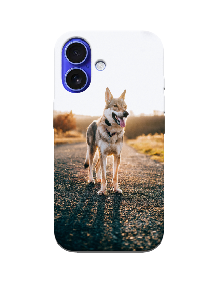 Picture of Apple iPhone 16 Custom Case
